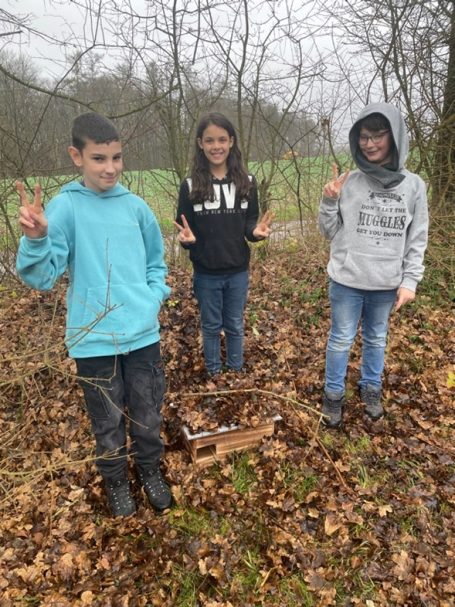 Selbstgebautes Igelhaus